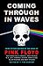 Coming Through in Waves by T. Fox Dunham