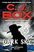 Dark Sky (Joe Pickett, #21)