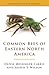Common Bees of Eastern North America (Princeton Field Guides)