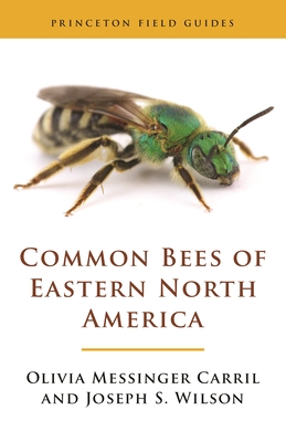 Common Bees of Eastern North America (Princeton Field Guides)