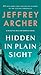 Hidden in Plain Sight (Detective William Warwick, #2)