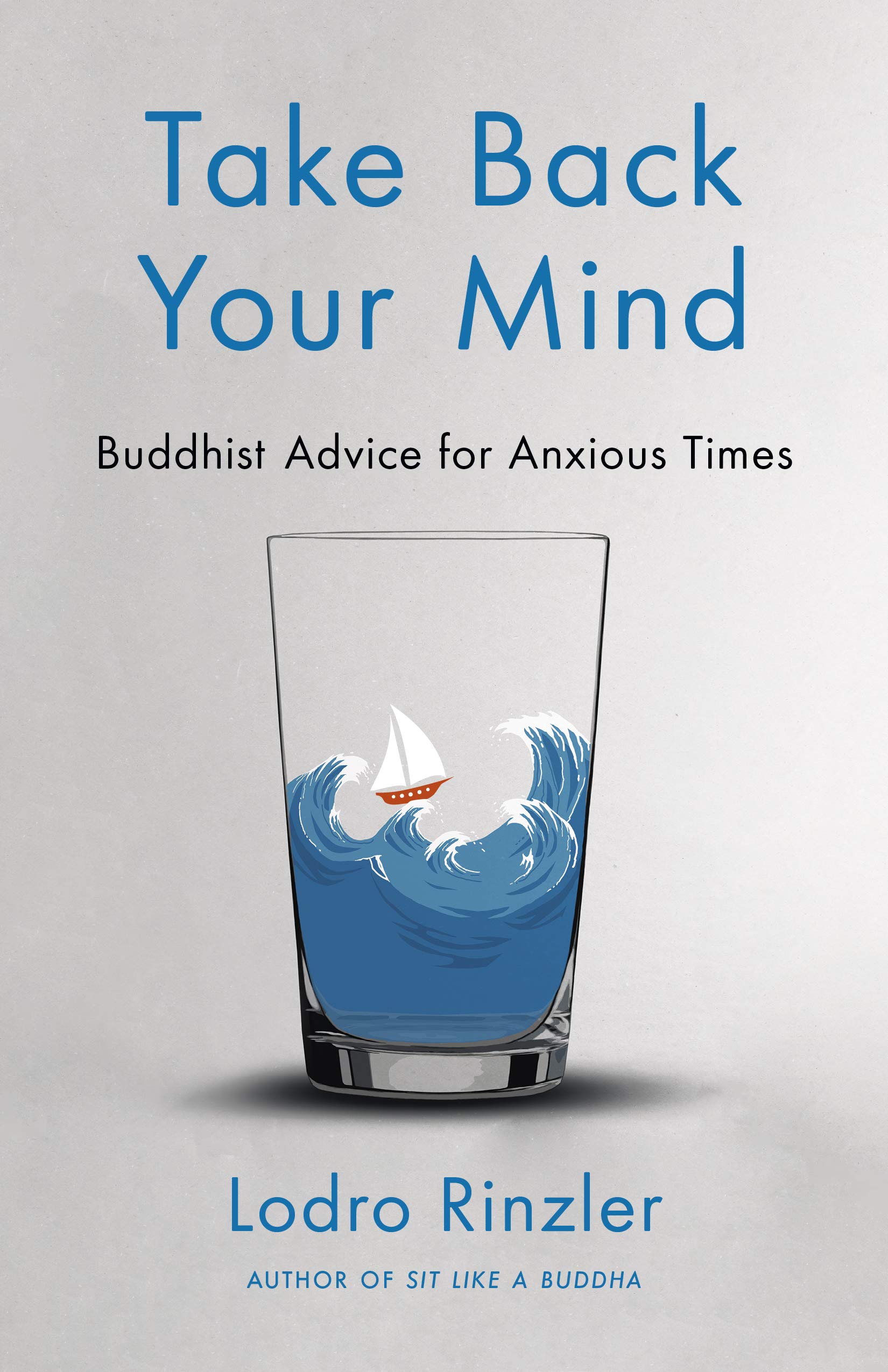 Take Back Your Mind: Buddhist Advice for Anxious Times (Kindle Edition)