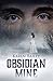 Obsidian Mine by Karen Bailey Obsidian Mine by Karen Bailey