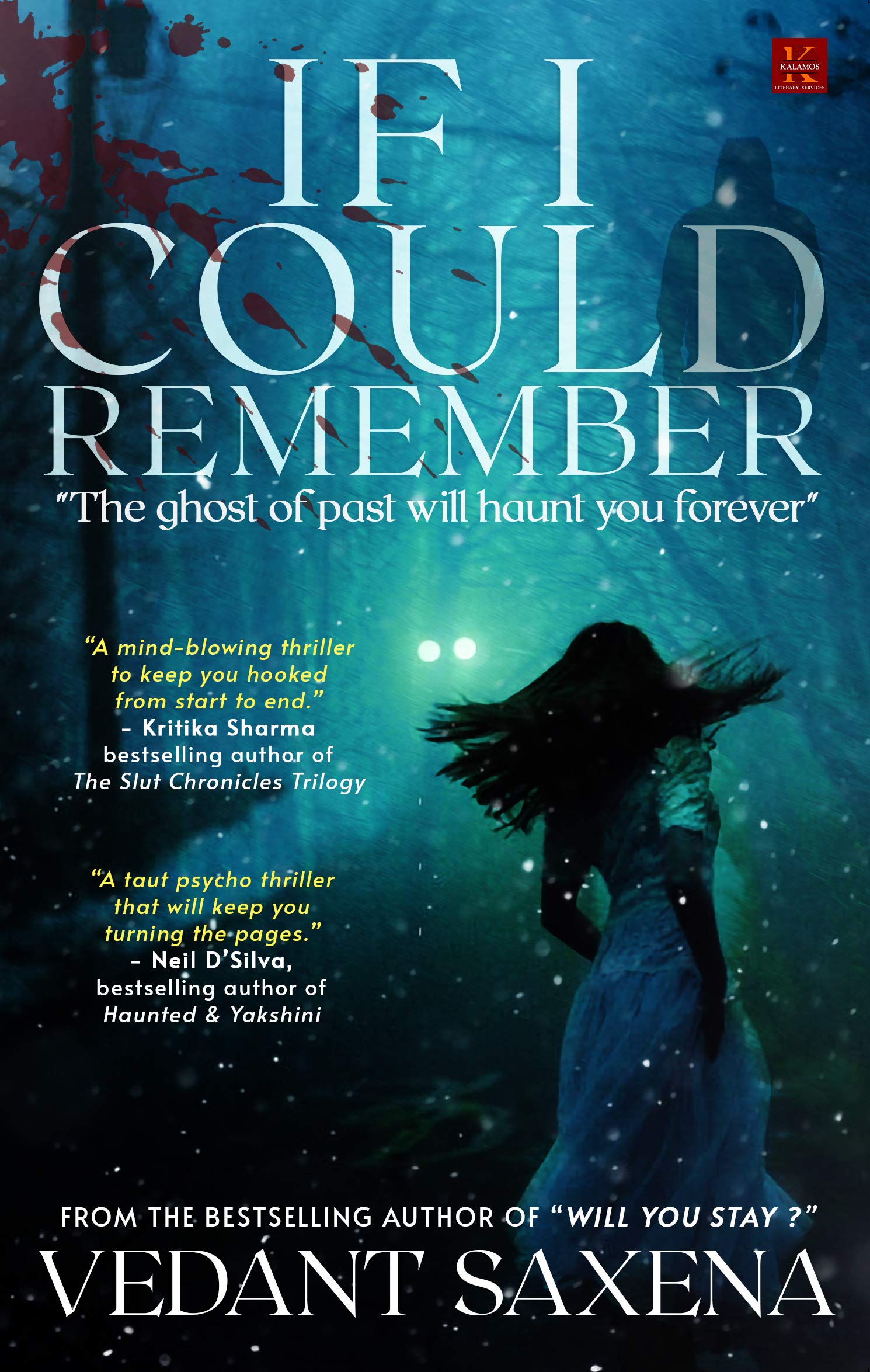 If I Could Remember