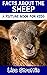 Facts About the Sheep by Lisa Strattin