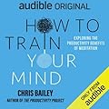How to Train Your Mind: Exploring the Productivity Benefits of Meditation