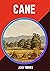 Cane by Jean Toomer