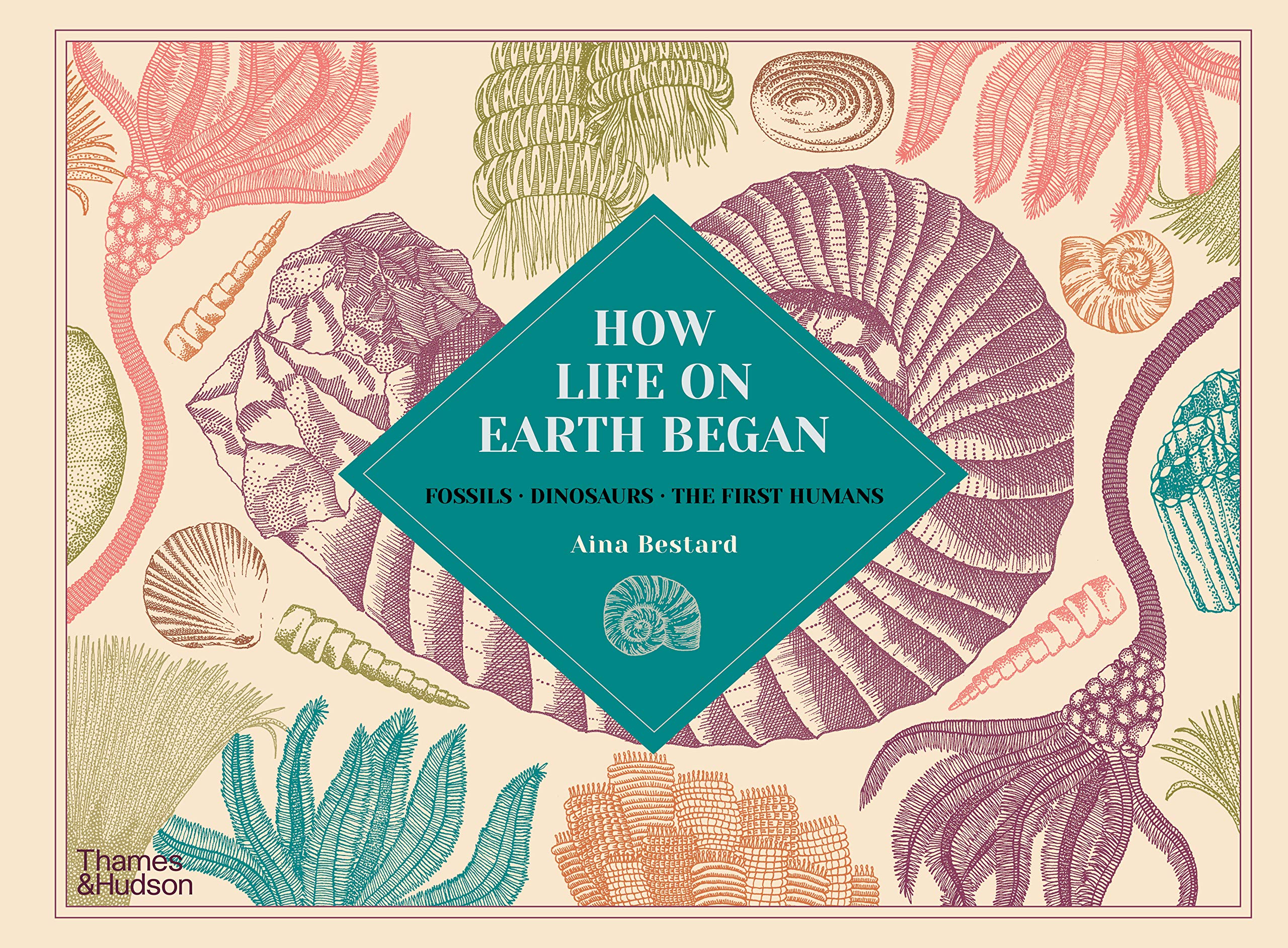 How Life on Earth Began: Fossils, Dinosaurs, The First Humans (Hardcover)