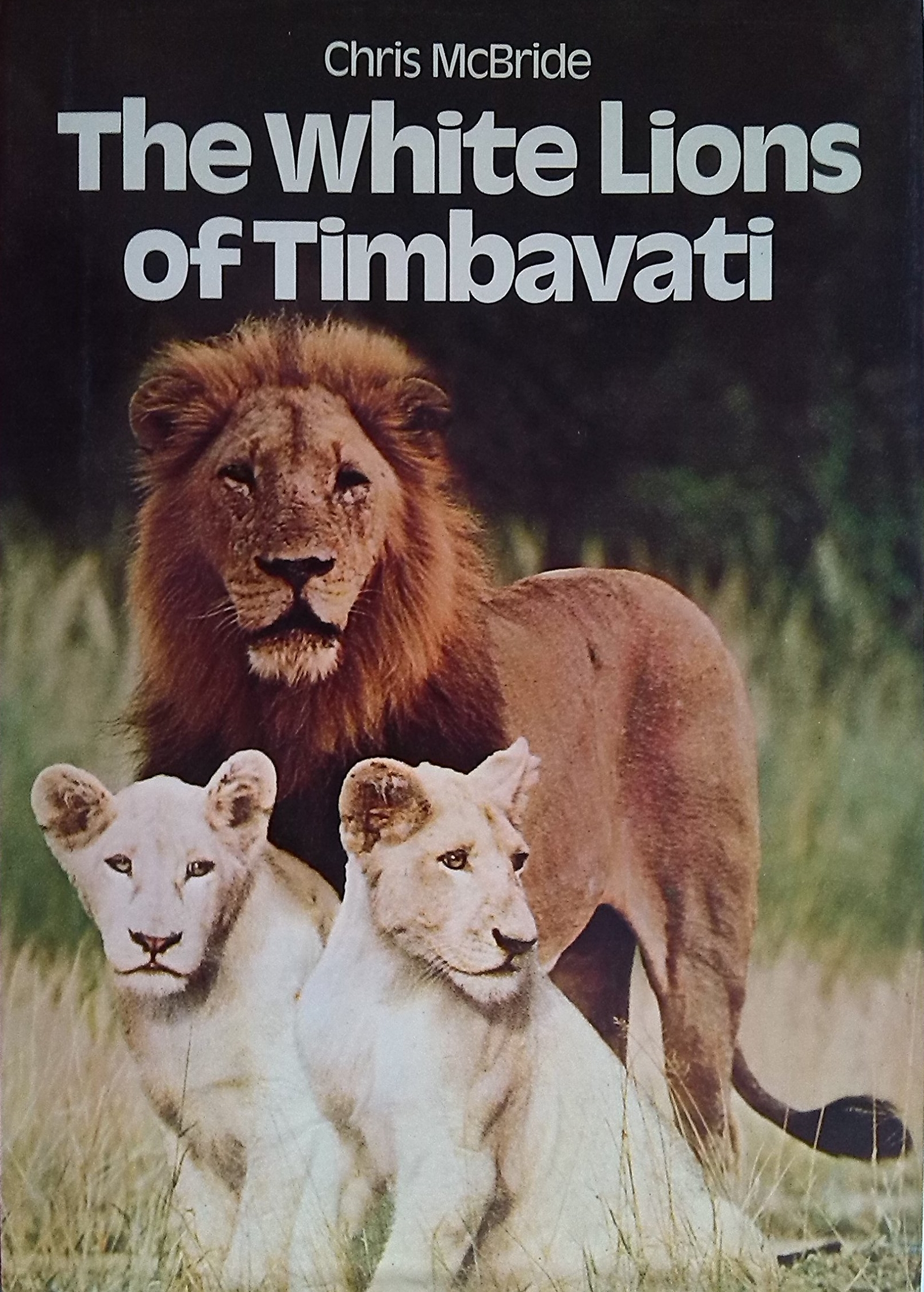 The White Lions of Timbavati
