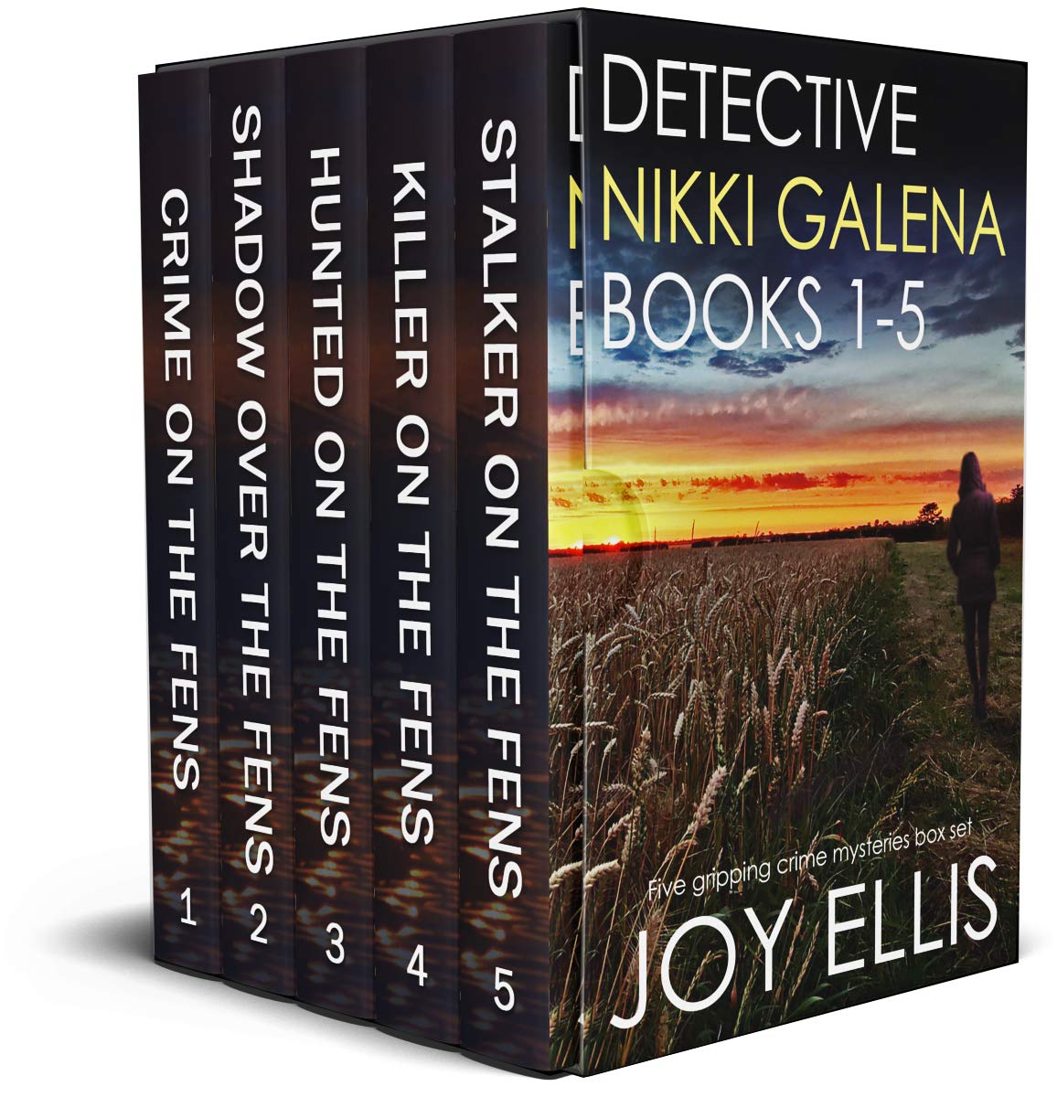 Detective Nikki Galena Books #1–5 (Kindle Edition)
