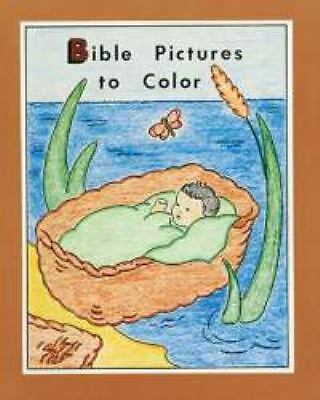 Bible Pictures to Color (Paperback)