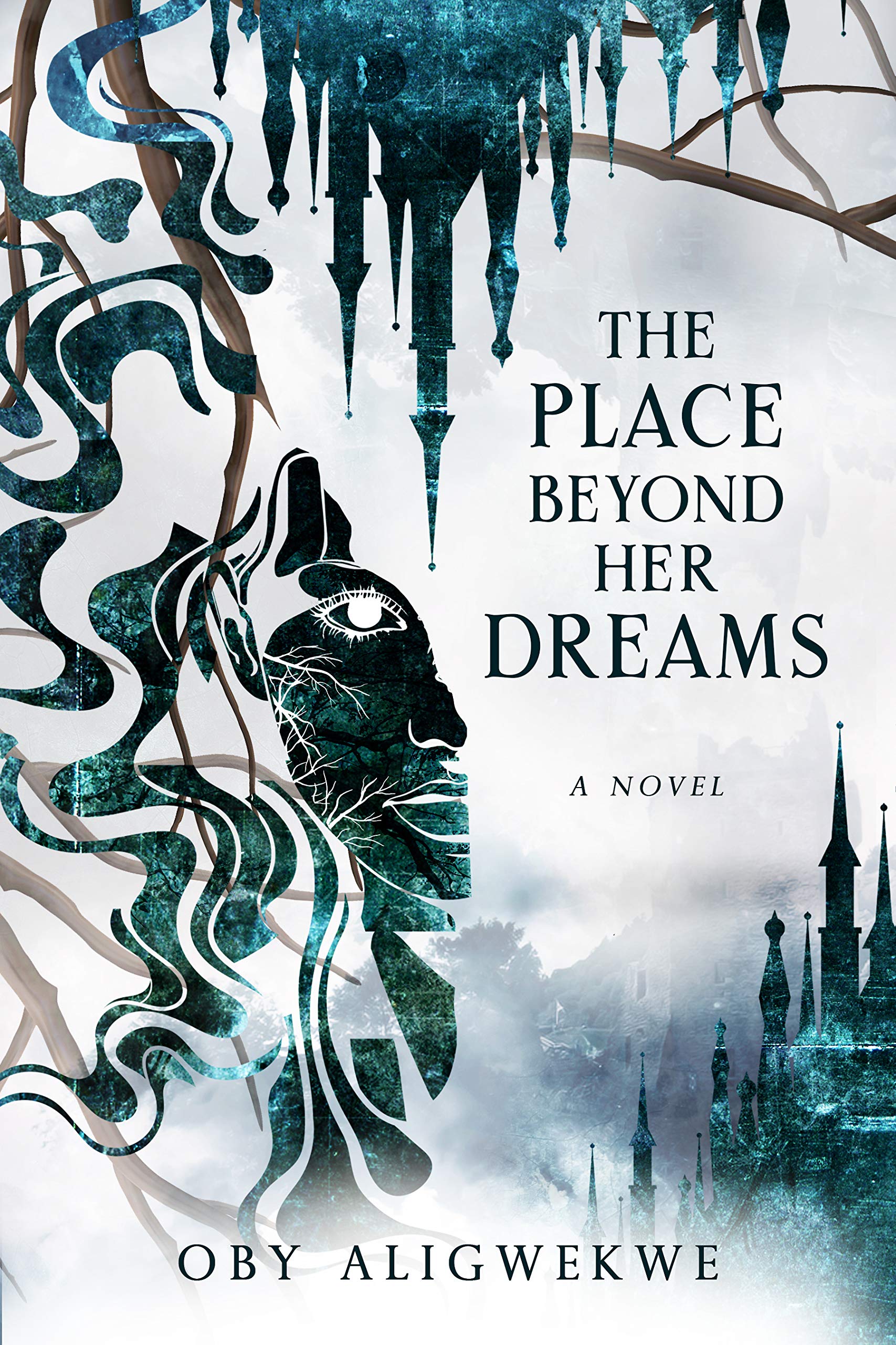 The Place Beyond Her Dreams (Kindle Edition)