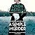 A Simple Murder (Kate Burkholder, #4.5, 6.5, 7.5, 8.5, 9.5, 10.5)