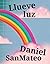 Llueve luz