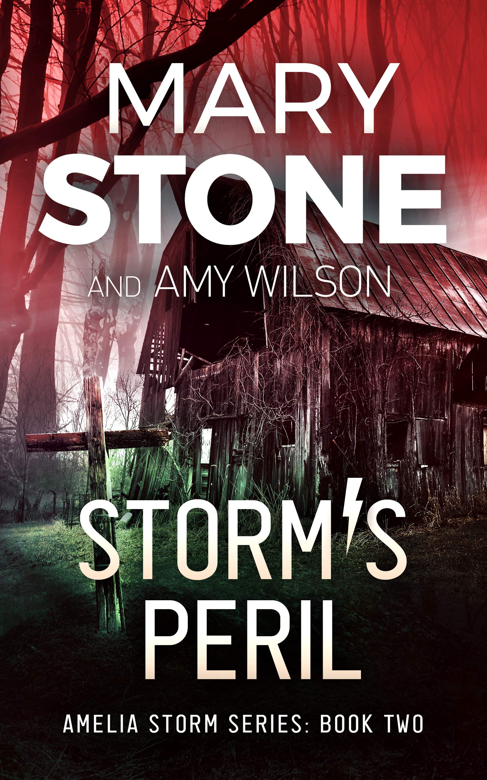 Storm's Peril (Amelia Storm #2)