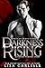 Darkness Rising (Chateau Seductions, 0.5)