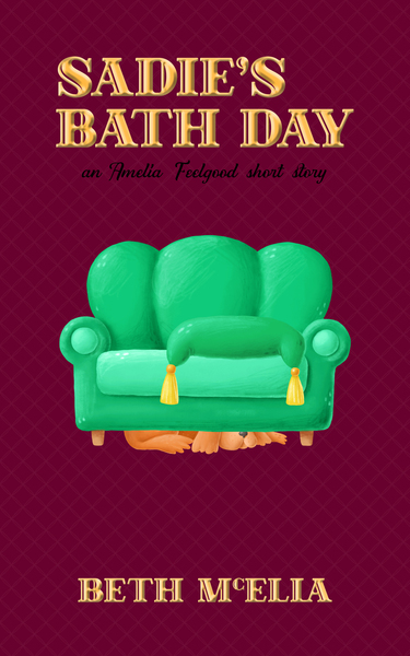 Sadie's Bath Day: An Amelia Feelgood short story (Findlater Island)