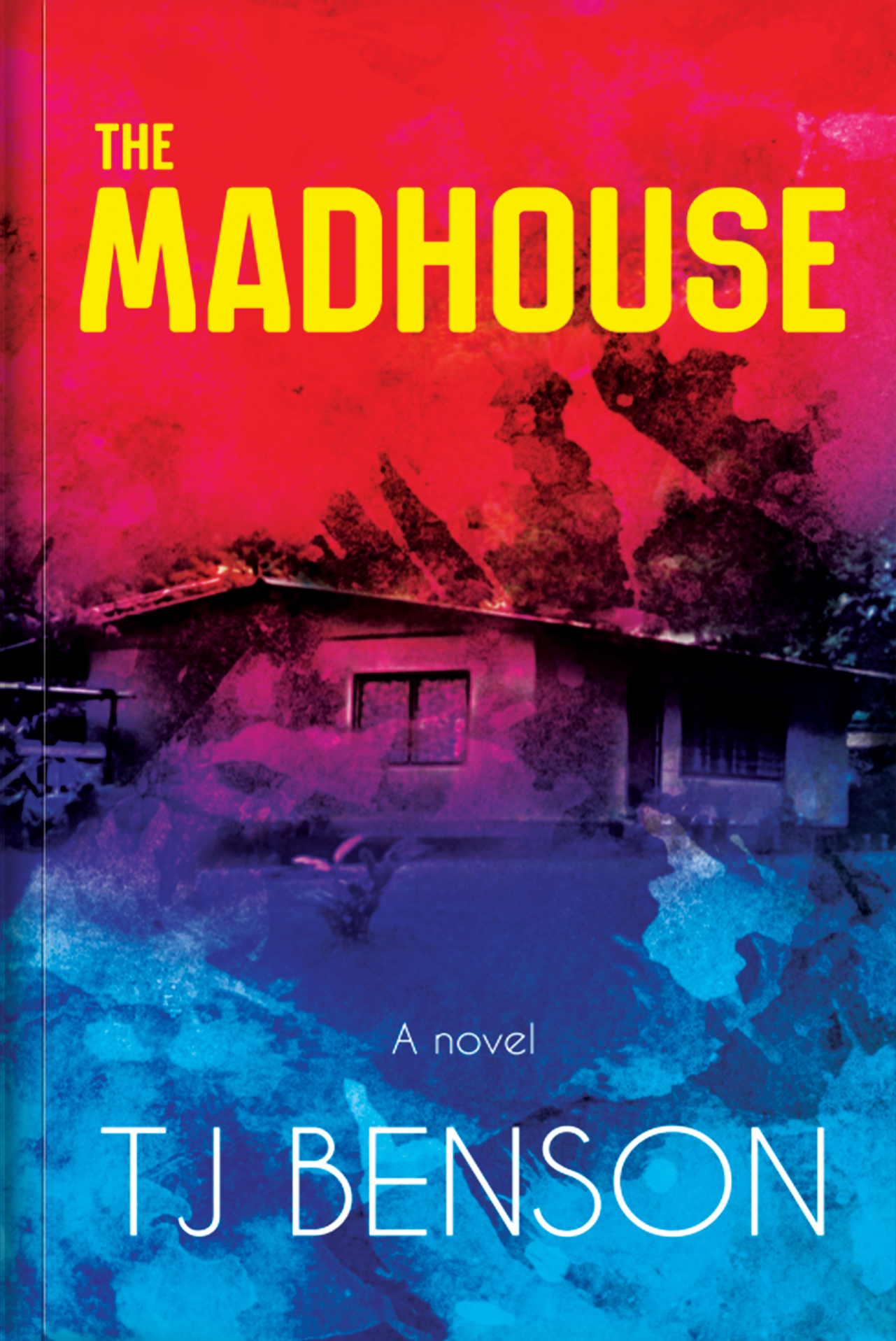 The Madhouse (Paperback)