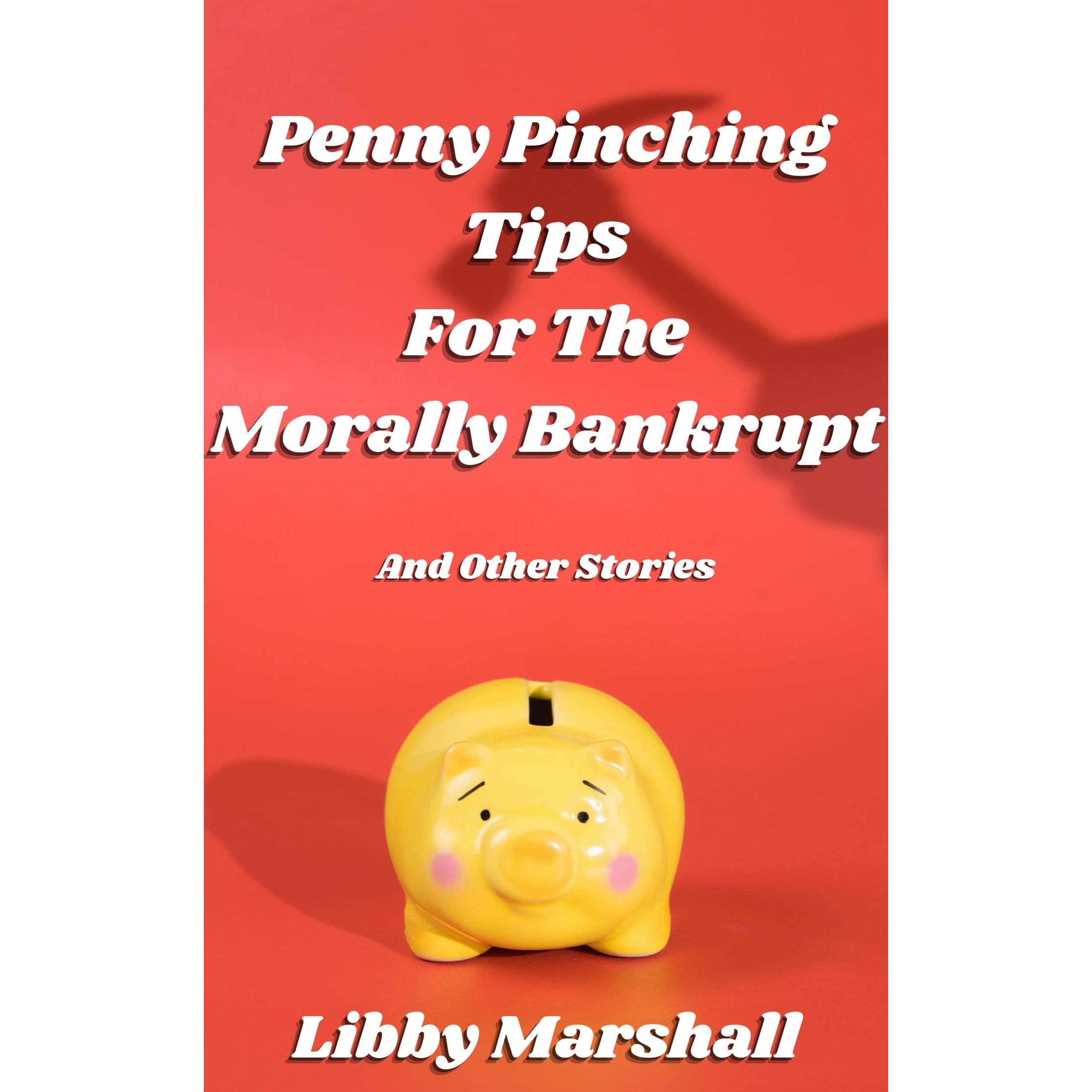 Penny Pinching Tips for the Morally Bankrupt by Libby Marshall