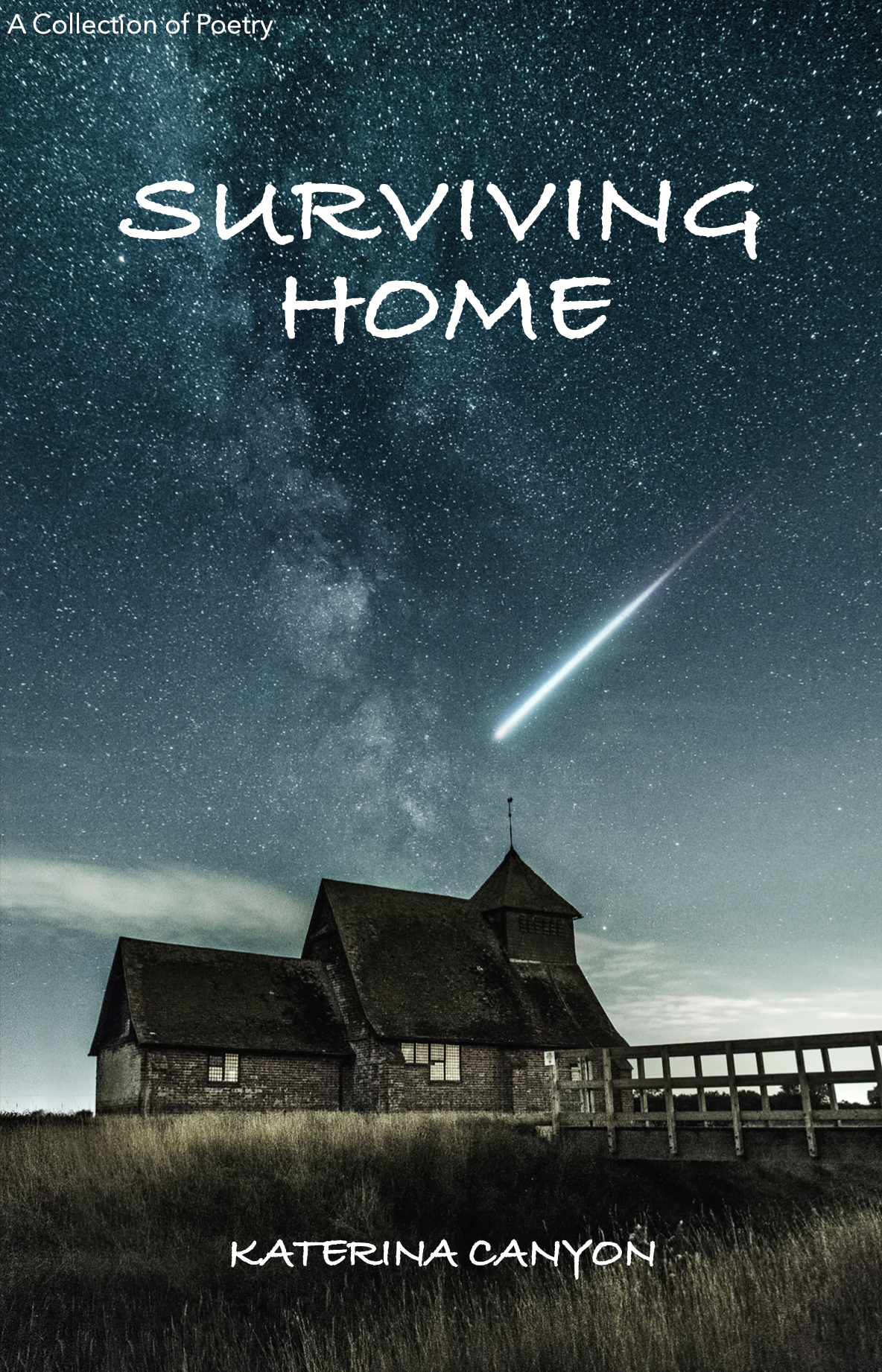 Surviving Home (Paperback)