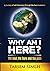 Why Am I Here? by Tarsem Singh