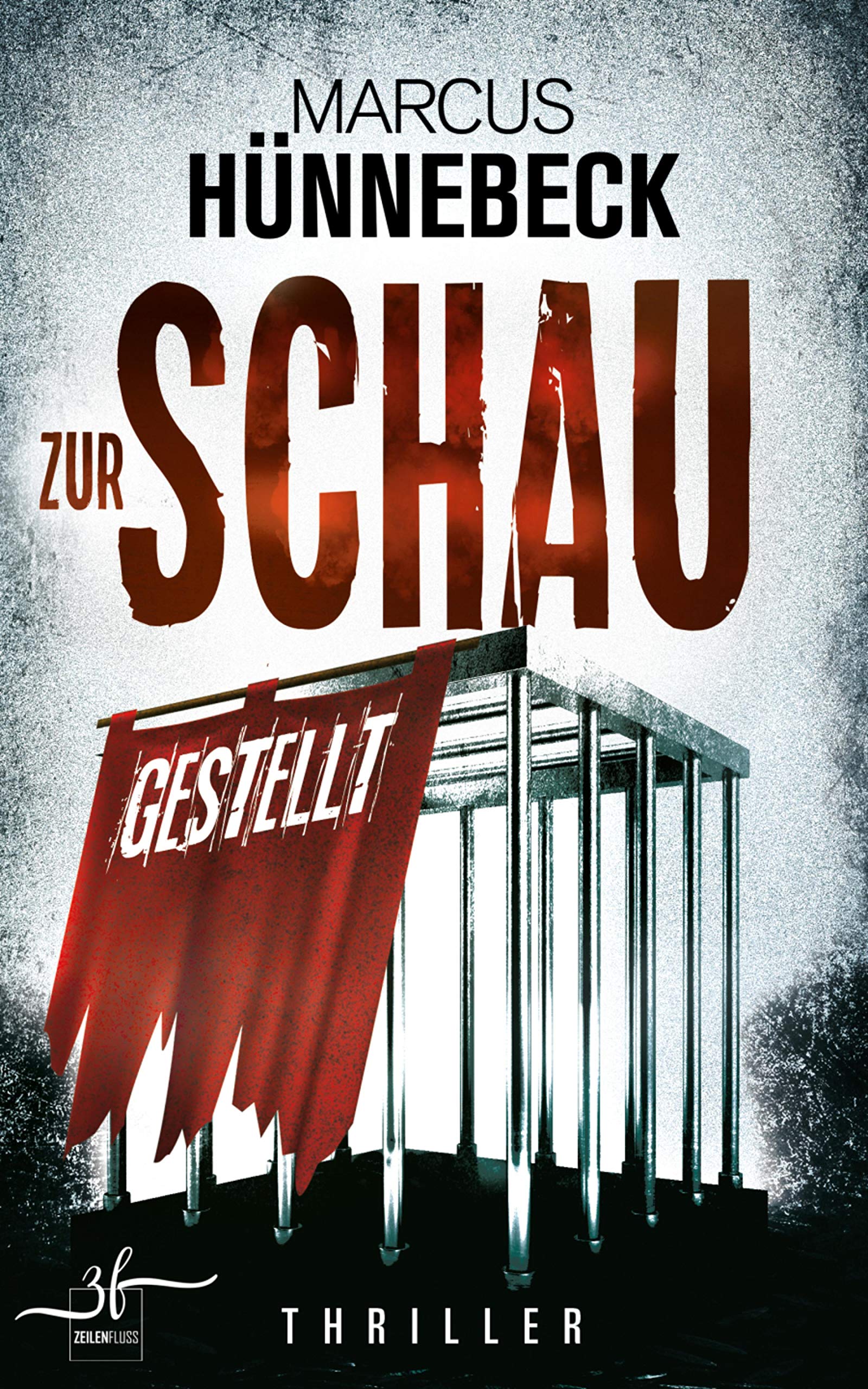 Zur Schau gestellt (Kindle Edition)