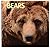 Bears