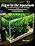 Algae in the aquarium: Alga...