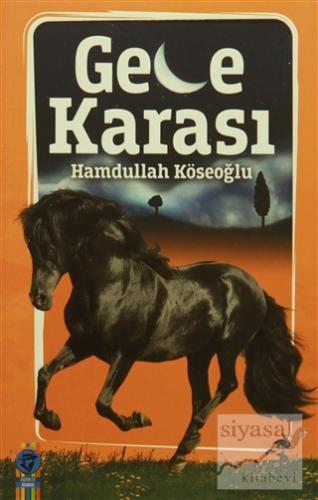 Gece Karası