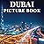 Dubai Picture Book: 100 Bea...
