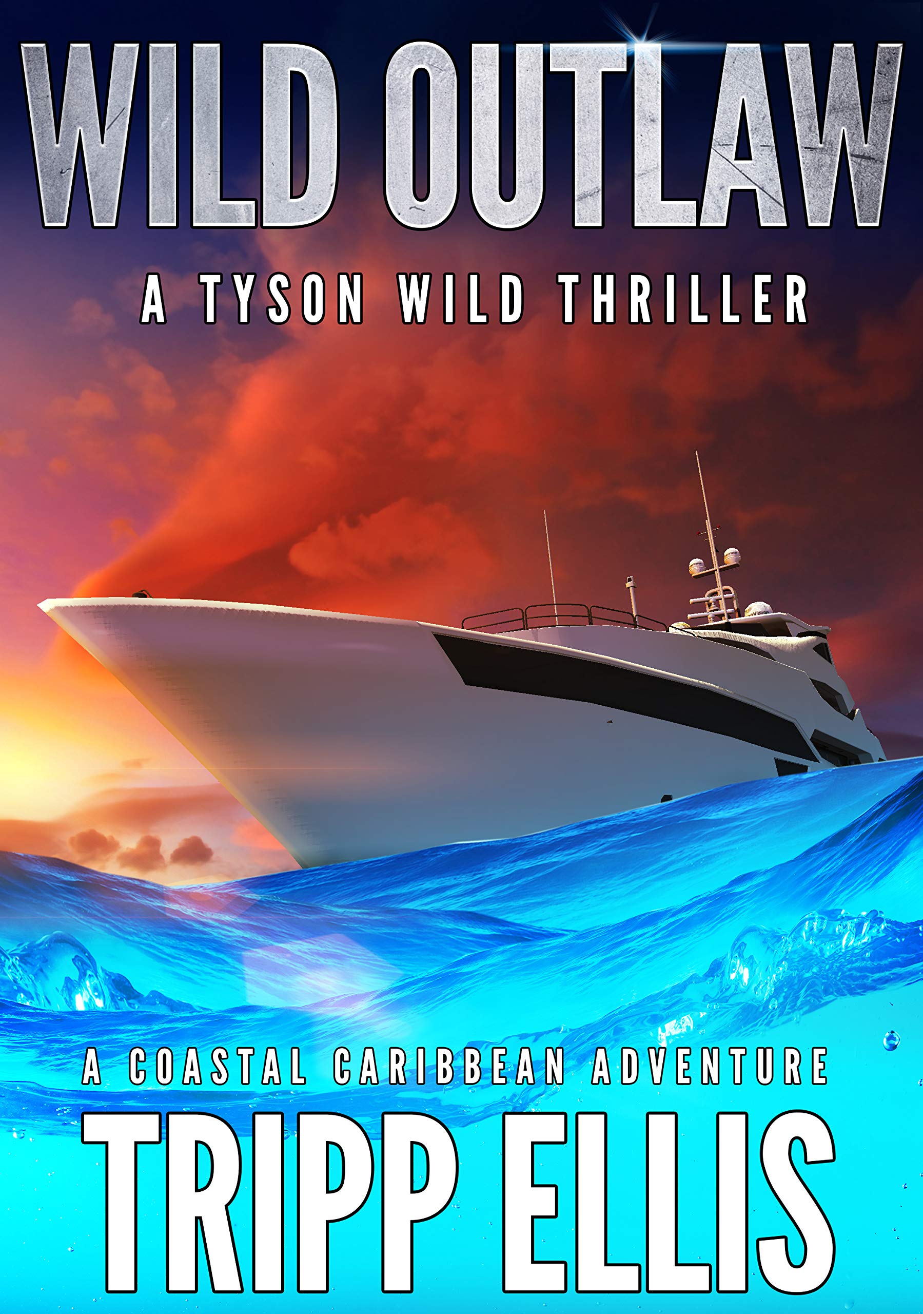 Wild Outlaw (Tyson Wild Thriller, #26)