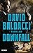 Downfall by David Baldacci
