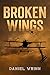 Broken Wings: WWI Fighter A...