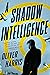 A Shadow Intelligence