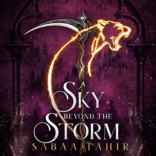 A ​Sky Beyond the Storm