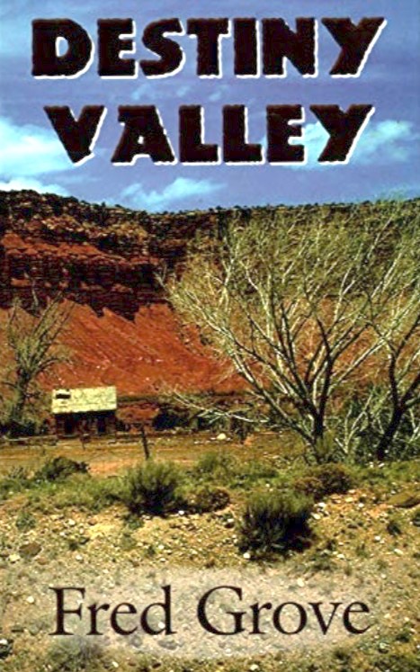 Destiny Valley: A Western Story (Five Star First Edition Western Series)