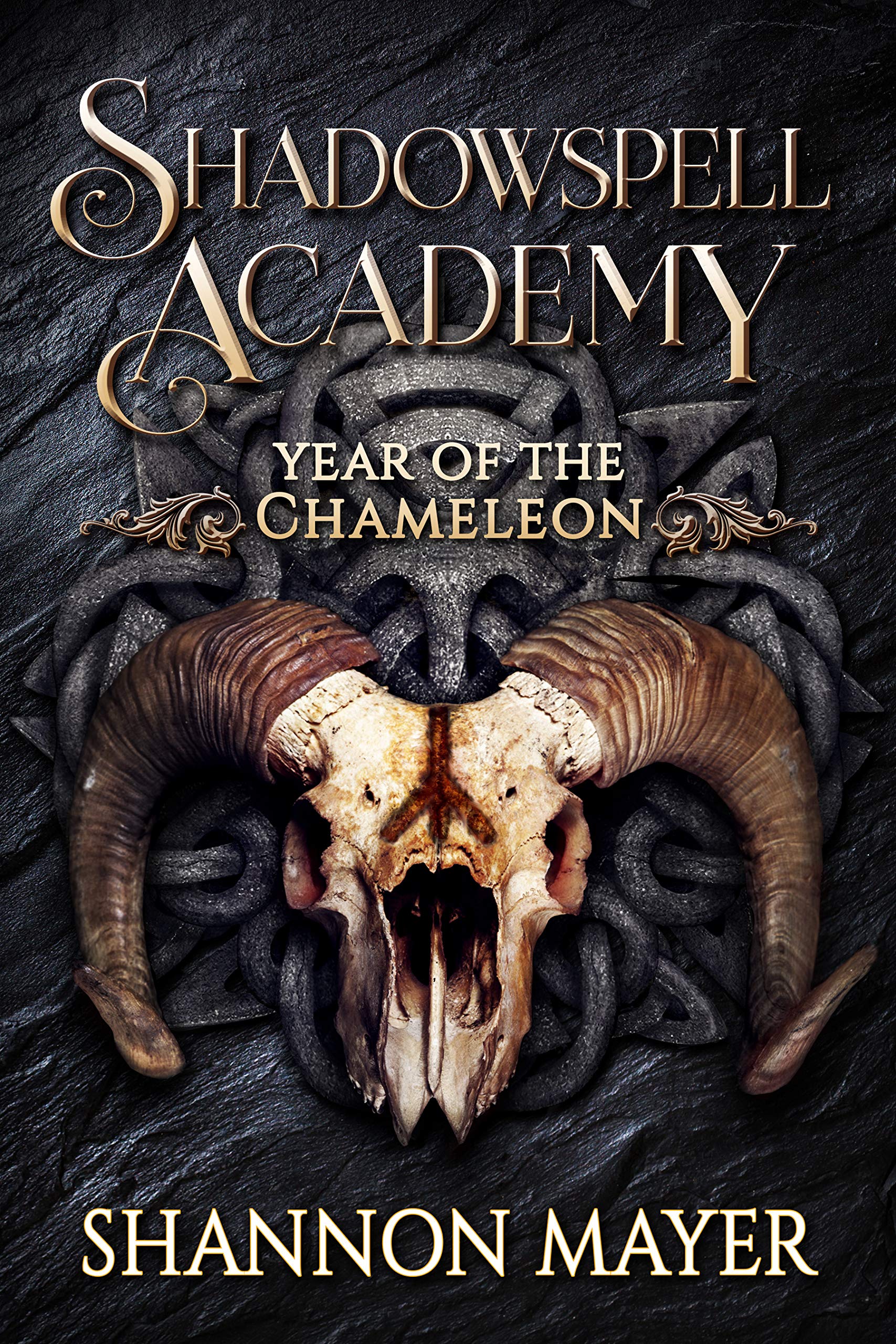 Year of the Chameleon 2 (Shadowspell Academy, #5)