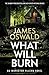 What Will Burn (Inspector M...