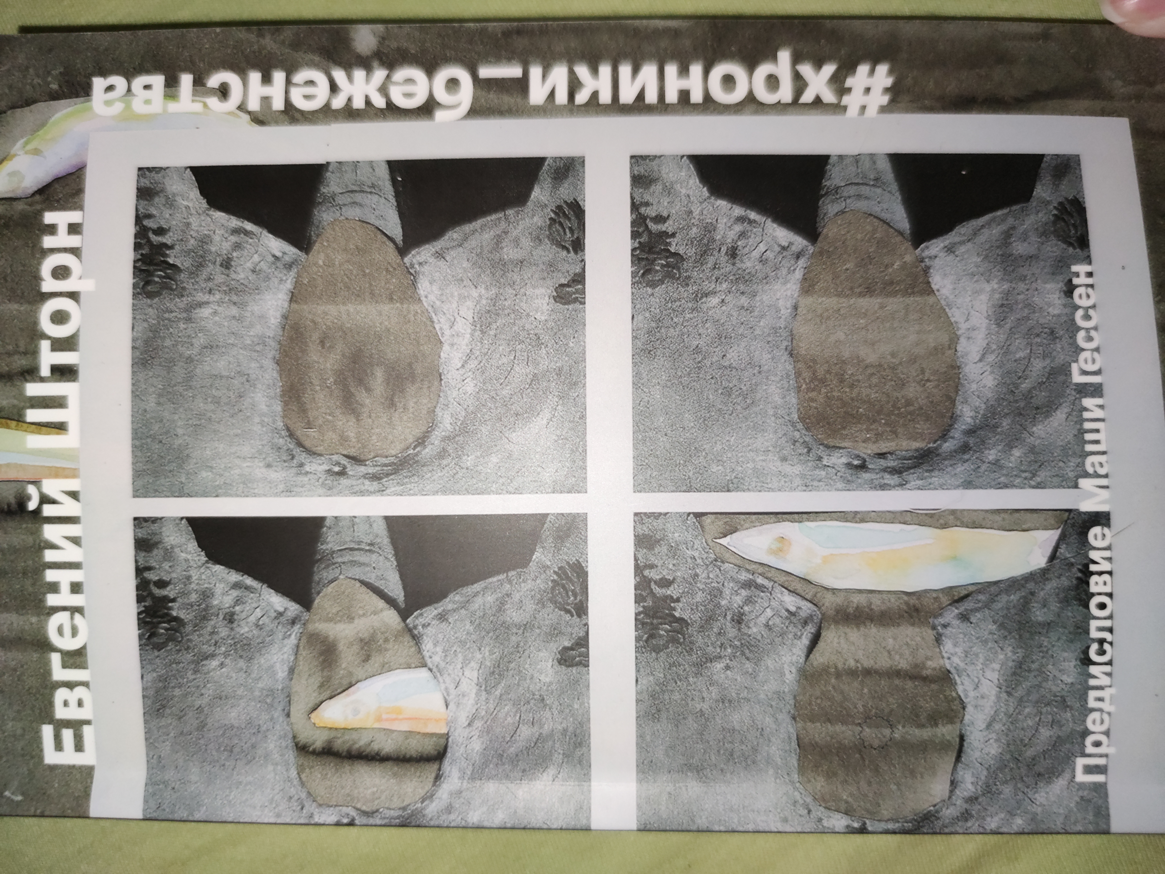 Хроники беженства (Paperback)