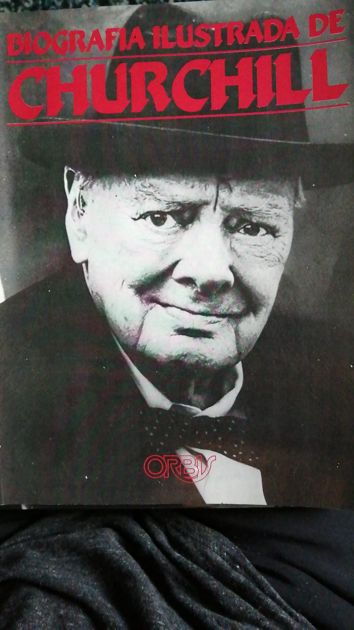 Biografía ilustrada de Churchill (Los grandes protagonistas de la Segunda Guerra Mundial, #1)