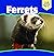 Ferrets (Our Weird Pets)