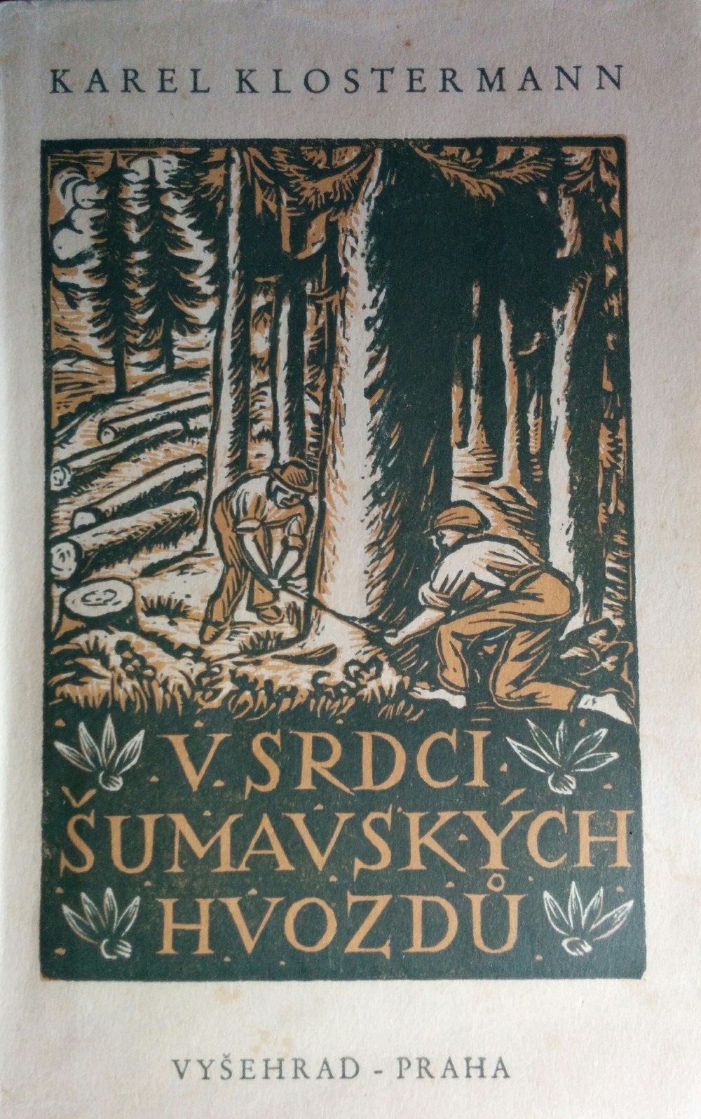 V srdci šumavských hvozdů