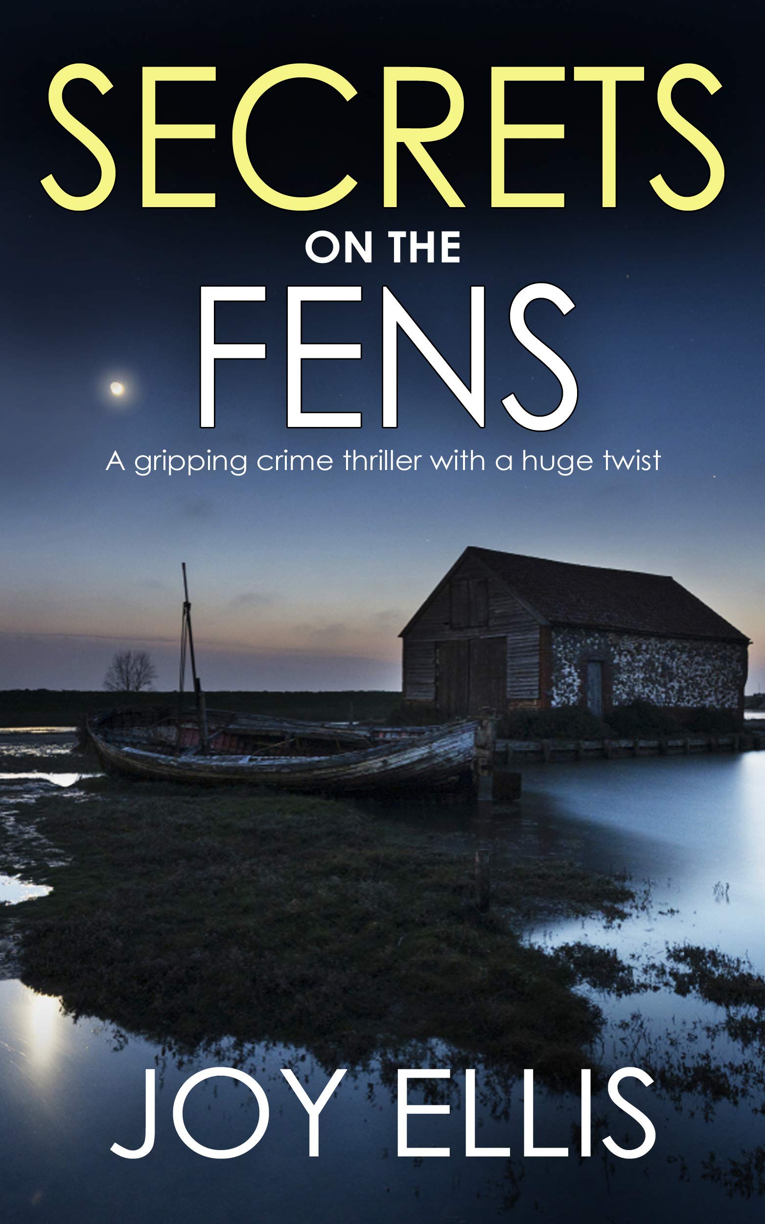 Secrets on the Fens (DI Nikki Galena, #12)