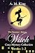 The Summer Sisters Witch #1-3 by A.M.   King