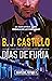 Días de Furia by B.J. Castillo