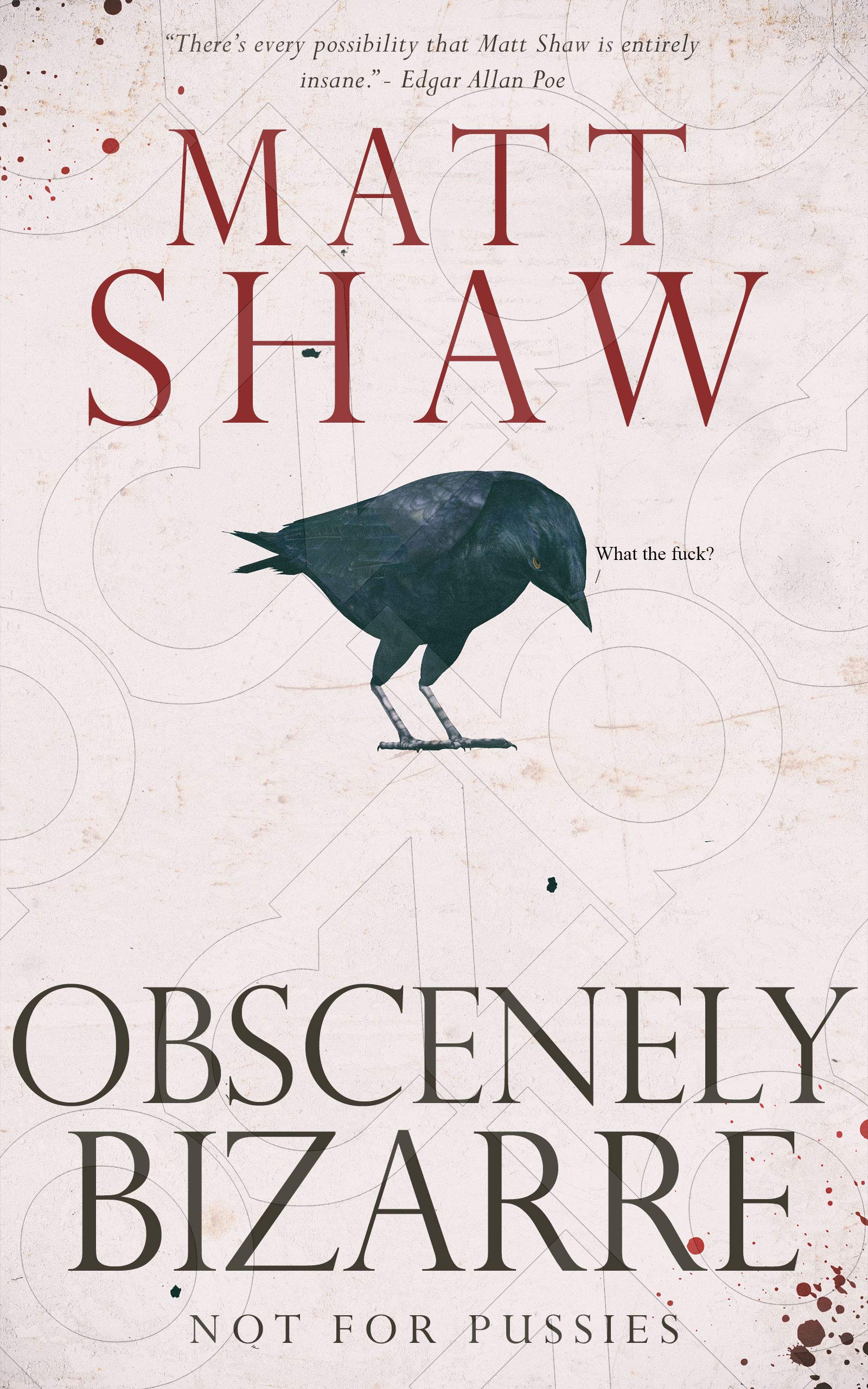 Obscenely Bizarre (Kindle Edition)