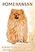 Pomeranian by Michelle Hawkins