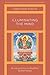 Illuminating the Mind: An Introduction to Buddhist Epistemology (Buddhist Philosophy for Philosophers)