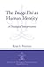 The Imago Dei as Human Identity: A Theological Interpretation (Journal of Theological Interpretation Supplements)