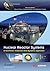 Nuclear Reactor Systems: A ...